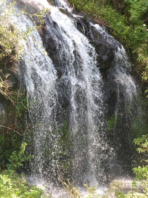 Casarao Da Cascata Villa Gramado Eksteriør billede