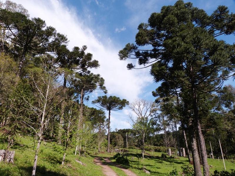 Casarao Da Cascata Villa Gramado Eksteriør billede