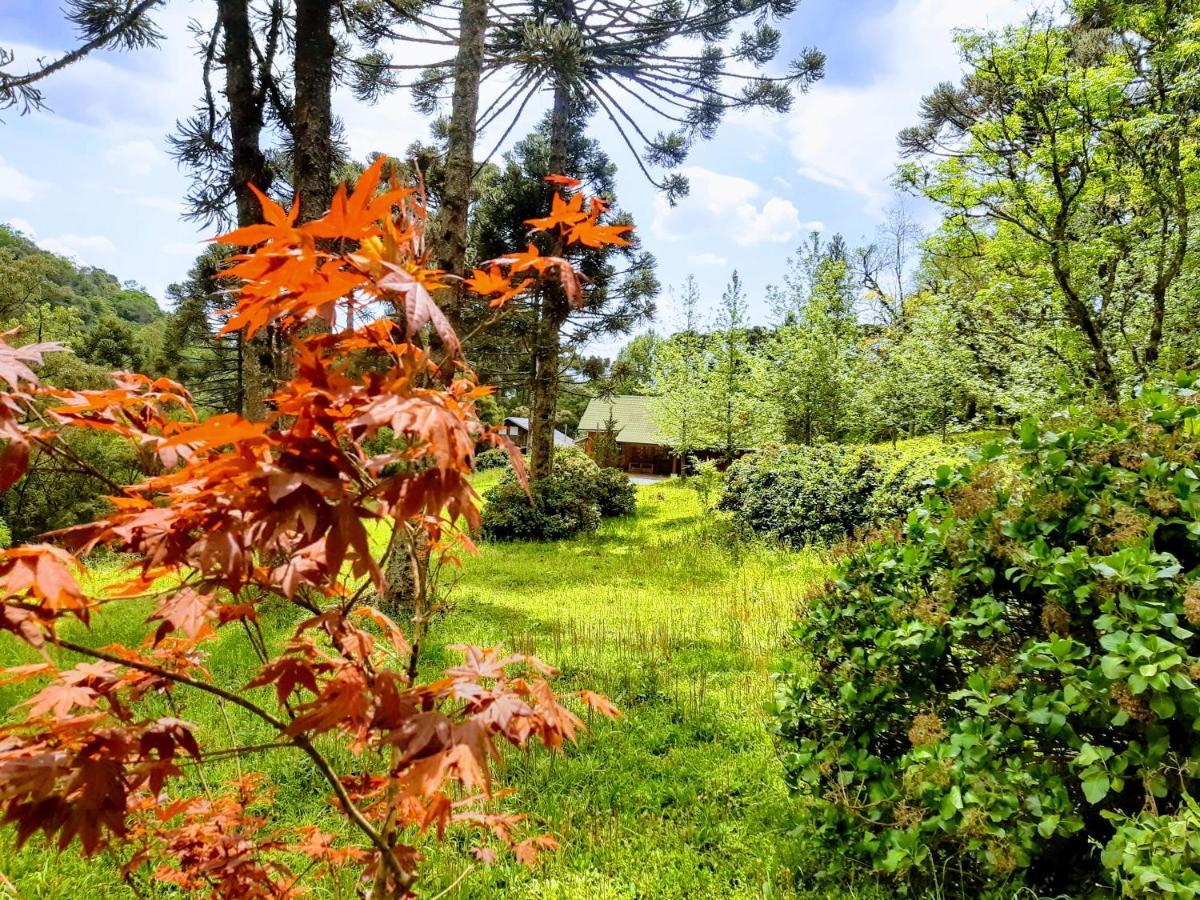 Casarao Da Cascata Villa Gramado Eksteriør billede